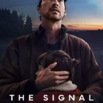 thesignal